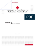 Módulo 3 - O Caso Brasileiro