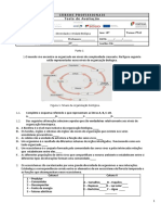 1º Teste 10º Biologia