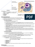 Sistema de Endomembranas