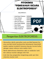 Fitokimia Kel 3 Elektroforesis