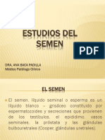 Estudios Del Semen