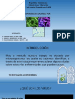 Enfermedades Causadas Por Virus, Bacterias y Hongos