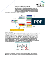 Explanations On Haplotypes and Haplotype Tests