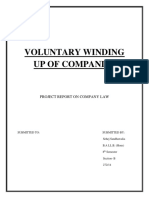 Voluntary Winding Up of Companies