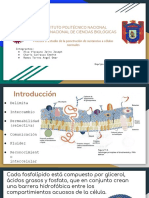 Seminario 3 Fisiologia