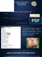 Prurigo Por Insectos