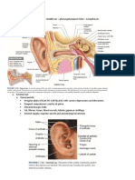 Anatomy of Ear