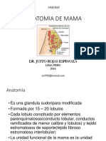 Anatomia de Mama PDF