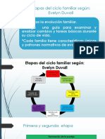 Ciclo de Vida Duval