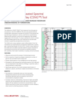 Logiq Compensated Spectral Natural Gamma Ray (CSNG™) Tool