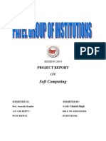 Soft Computing: Project Report