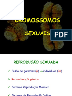 Cap 5 Cromossomos Sexuais