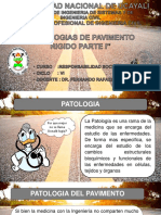 Patologias