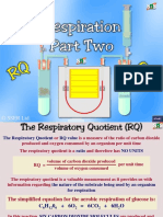 Respiratory Quotient