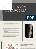 Articulación de La Rodilla