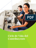 Ciclo de Vida Del Contribuyente