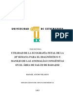 Tesis Ecografia 2014 PDF