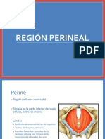 Region Perineal