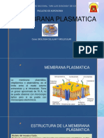 Membrana Plasmatica Semana 3