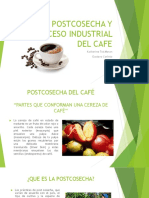 Cosecha y Postcosecha Del Cafe