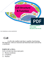 Human Physiology Cell Structure Function I Lecture 31.july - .2012