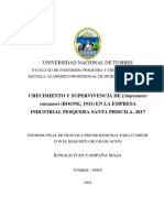 C.MRonald - 2018.07.17 (2.00 Am) Informe de Practicas R.I.C.M. Corregido AOZ