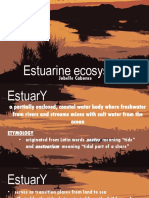 Estuary Ecosystem