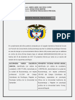 Informe Anna Greene PDF