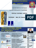 Peritaje Contable Judicial