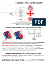 Fármacos Que Actual A Nivel Cardiovascular y Renal