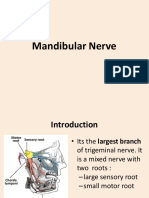 Mandibular Nerve