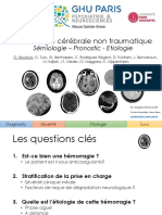 Imagerie HIC Spontanées PDF