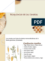 Bioquimica de Cereales