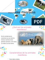 Animales Mamiferos MFOR