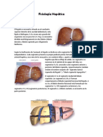 Fisiología Hepática MARCO TEORICO PARTE 1