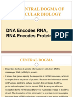 The Central Dogma of Molecular Biology: DNA Encodes RNA, RNA Encodes Protein