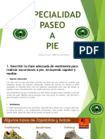 Especialidad Paseo A Pie