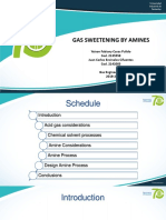 Gas Sweetening by Amines