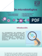 Corrosión Microbiológica