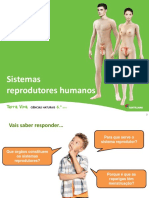 Sistema Reprodutor Humano