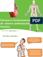 U7 Estrutura Funcionamento Sistema Cardiovascular Humano Final