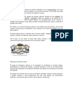 Los Motores de Pistones Opuestos No Deben Confundirse Con Los Motores Bóxer