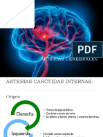 Arterias Cerebrales