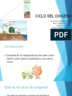 Ciclo Del Oxigeno