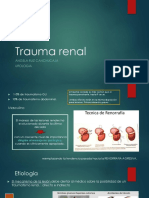 Trauma Renal Ange