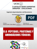 Peptidos Proteinas y Aminoacidos Toxicos