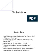 Plant Anatomy