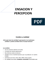 CLASE 9 - Sensacion y Percepcion