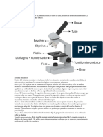 Partes Del Microscopio