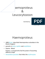 Haemoproteus and Leucocytozoon